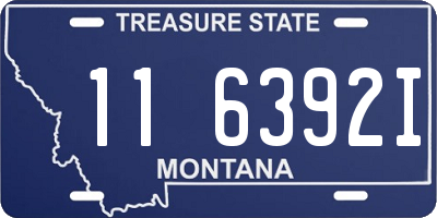 MT license plate 116392I