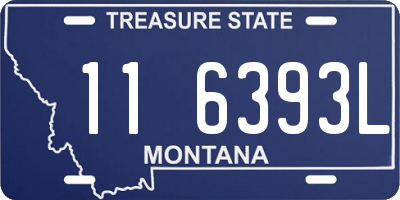 MT license plate 116393L