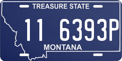 MT license plate 116393P