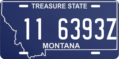 MT license plate 116393Z