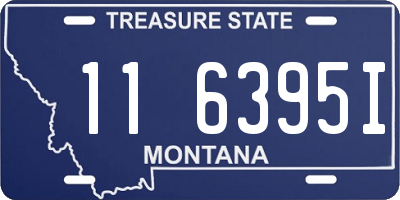 MT license plate 116395I