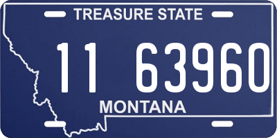 MT license plate 116396O