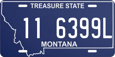 MT license plate 116399L