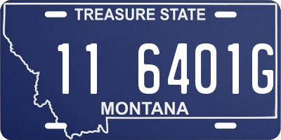 MT license plate 116401G