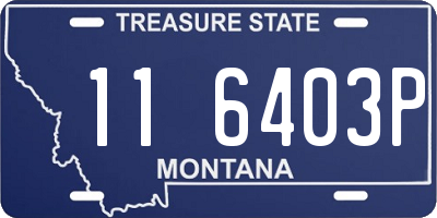 MT license plate 116403P