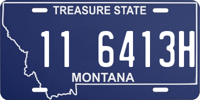 MT license plate 116413H