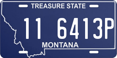MT license plate 116413P