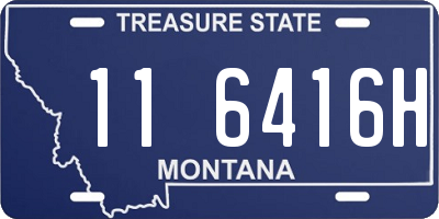 MT license plate 116416H