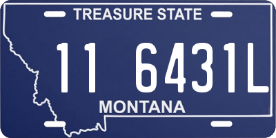 MT license plate 116431L