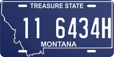MT license plate 116434H