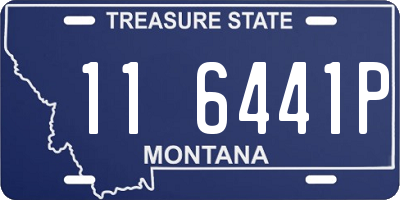 MT license plate 116441P