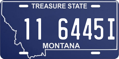 MT license plate 116445I
