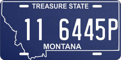 MT license plate 116445P