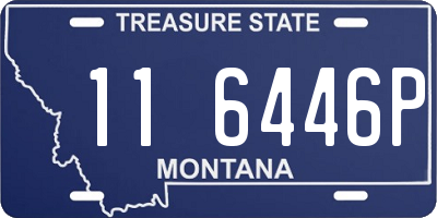 MT license plate 116446P