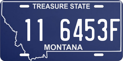 MT license plate 116453F