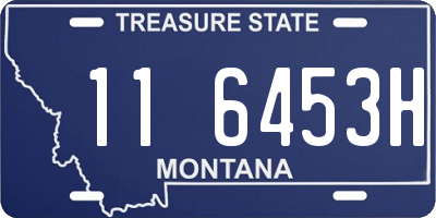 MT license plate 116453H