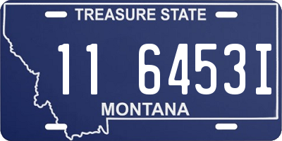 MT license plate 116453I