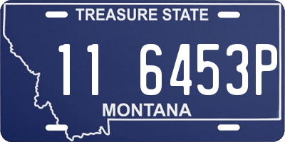 MT license plate 116453P