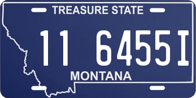 MT license plate 116455I