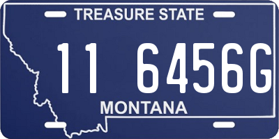 MT license plate 116456G