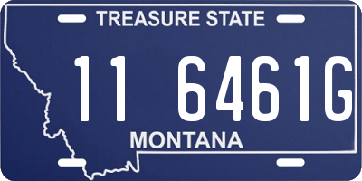MT license plate 116461G