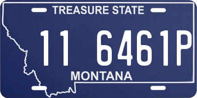 MT license plate 116461P