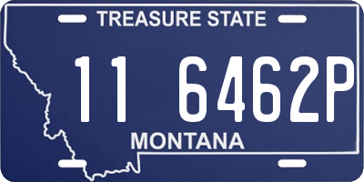 MT license plate 116462P