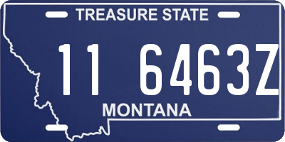 MT license plate 116463Z