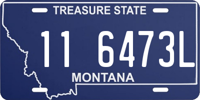 MT license plate 116473L