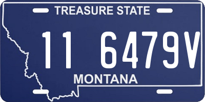 MT license plate 116479V