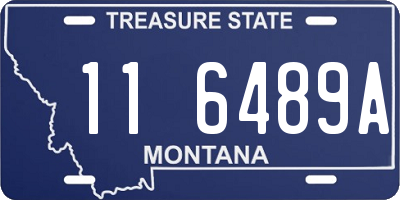 MT license plate 116489A