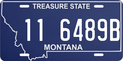 MT license plate 116489B