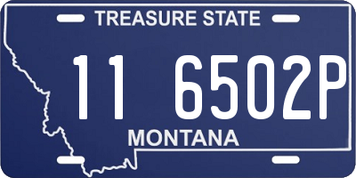 MT license plate 116502P