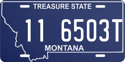 MT license plate 116503T