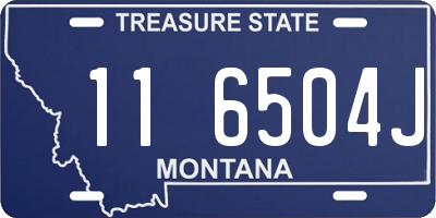 MT license plate 116504J