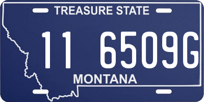 MT license plate 116509G