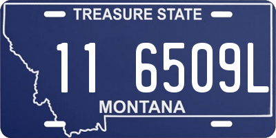 MT license plate 116509L