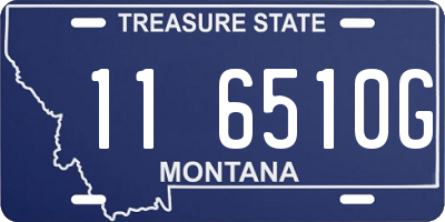 MT license plate 116510G