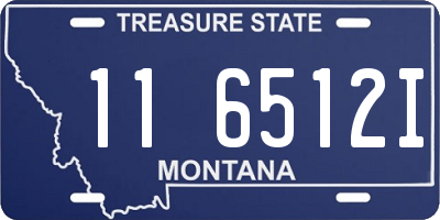 MT license plate 116512I