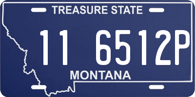 MT license plate 116512P