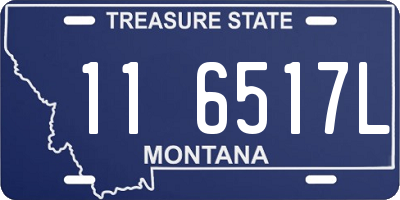 MT license plate 116517L