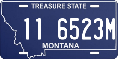 MT license plate 116523M