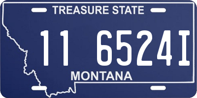 MT license plate 116524I