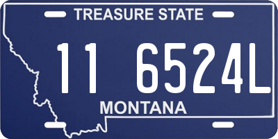 MT license plate 116524L