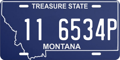 MT license plate 116534P