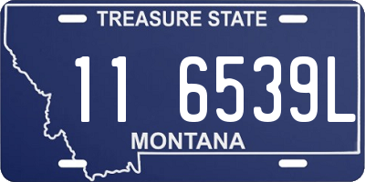 MT license plate 116539L