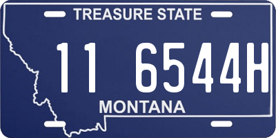 MT license plate 116544H