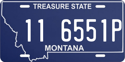 MT license plate 116551P