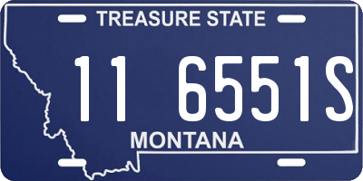 MT license plate 116551S