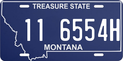 MT license plate 116554H